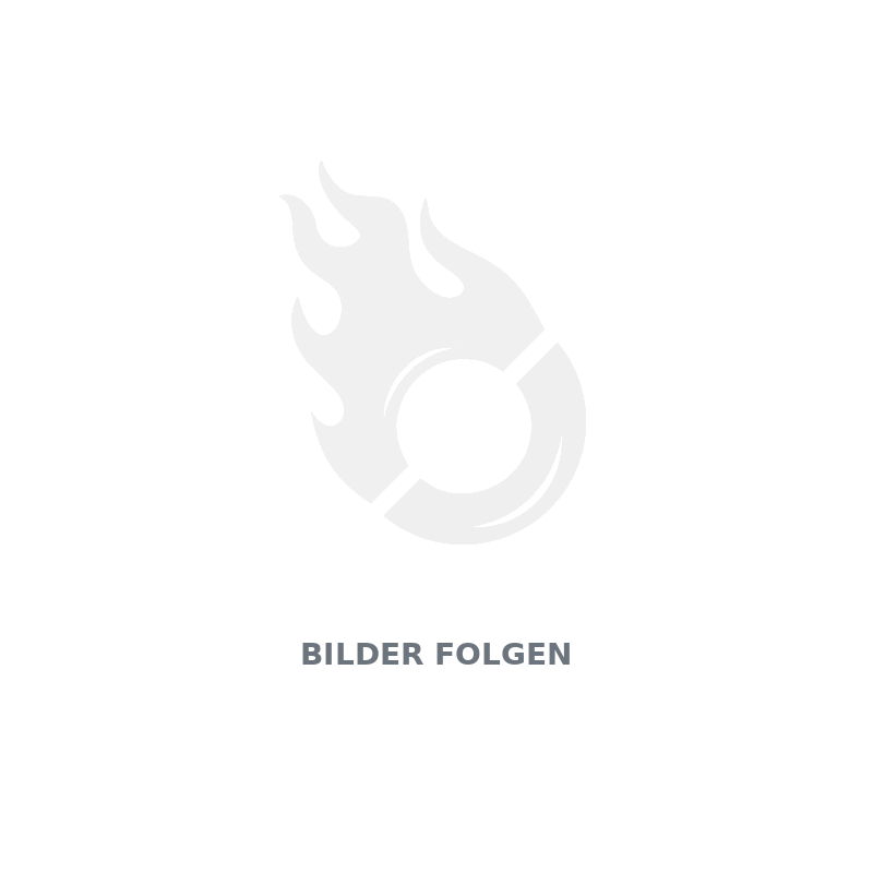 Luftfilter GT-R TR300-2A 300ccm - E-Scooter Ersatzteil Produktbild, hochwertige Detailaufnahme für Ersatzteilkatalog