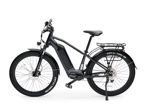 E-Bike Neptun 27 Zoll 250W schwarz