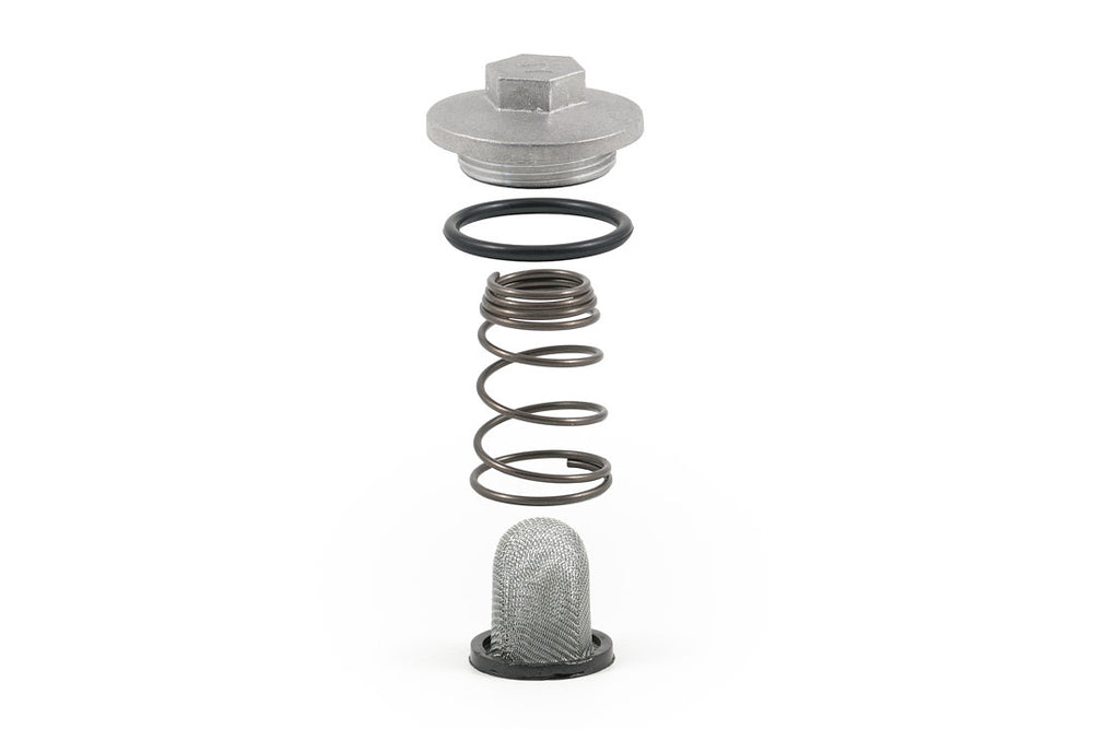 Ölfilter Komplett 50ccm/125ccm (Schraube, Dichtung, Feder u. Filter)